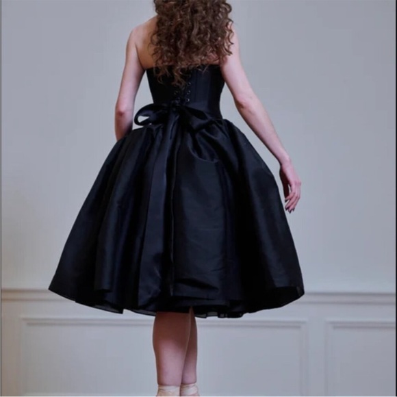 Selkie Black Swan Degas Dress - Strapless Balletcore - Picture 3 of 7
